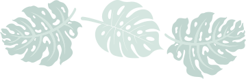 service-shape5-3