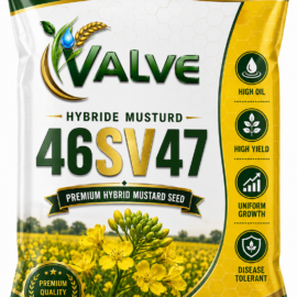 HYBRID MUSTURD 46SV47