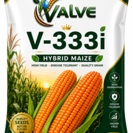 HYBRID MAIZE V -333i