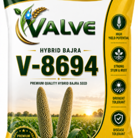 HYBRID BAJRA V-8694
