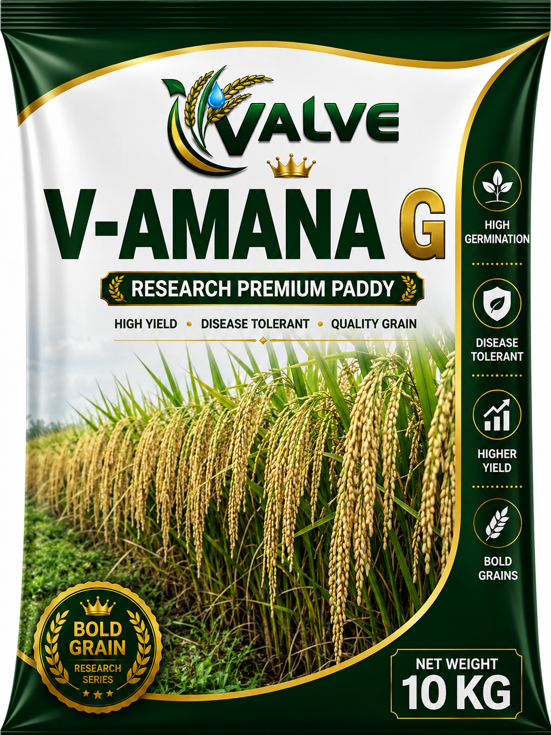 Research Paddy Seed V-AMANA G