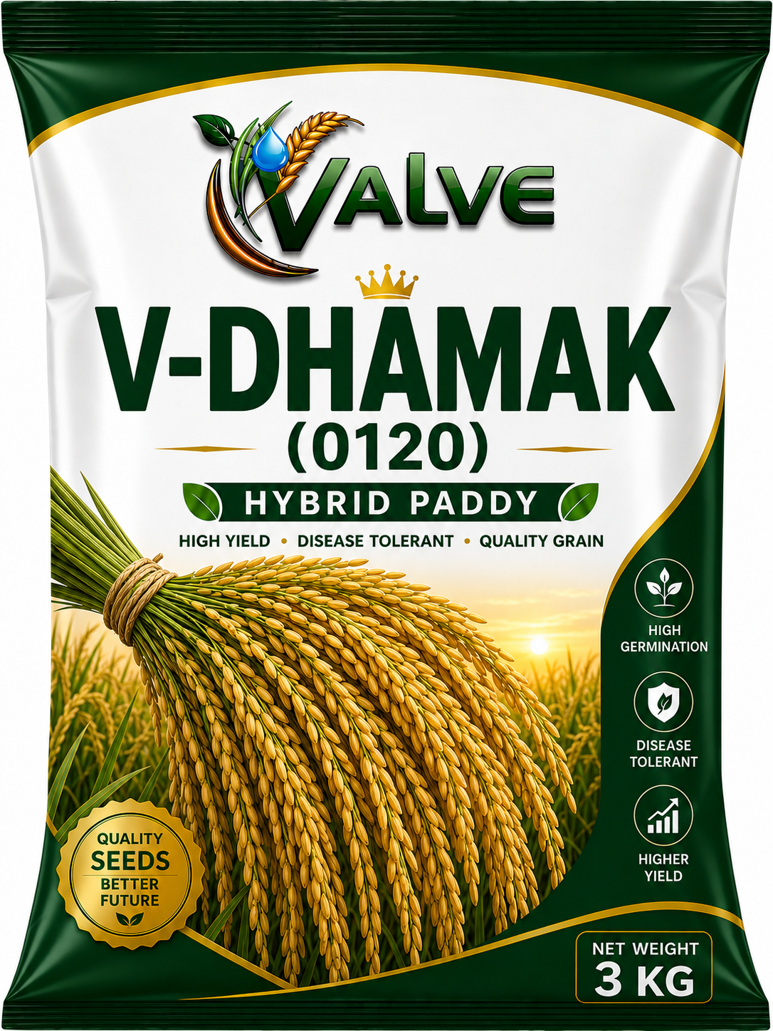 HYBRID PADDY V-DHAMAK