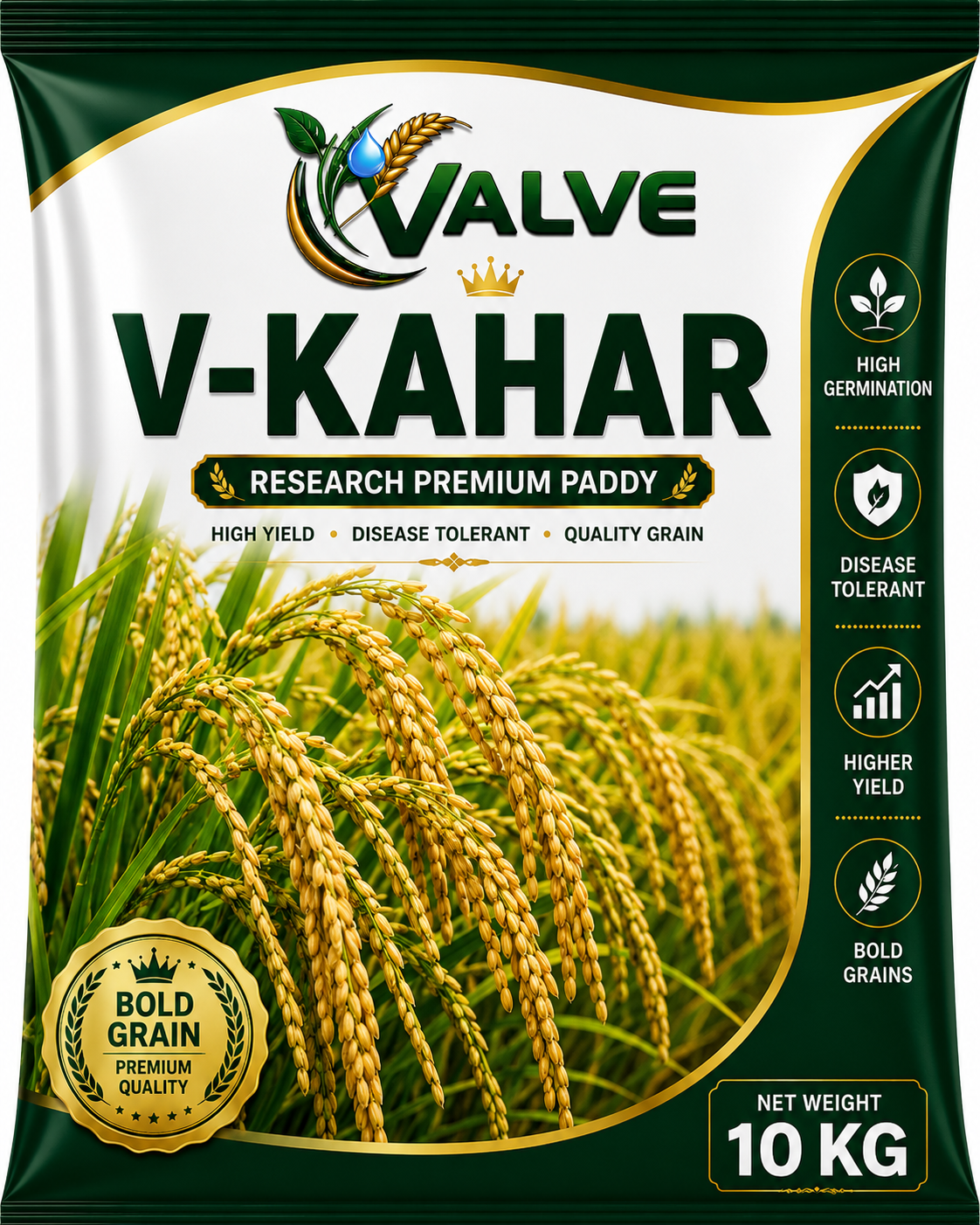 RESEARCH PADDY V-KAHAR