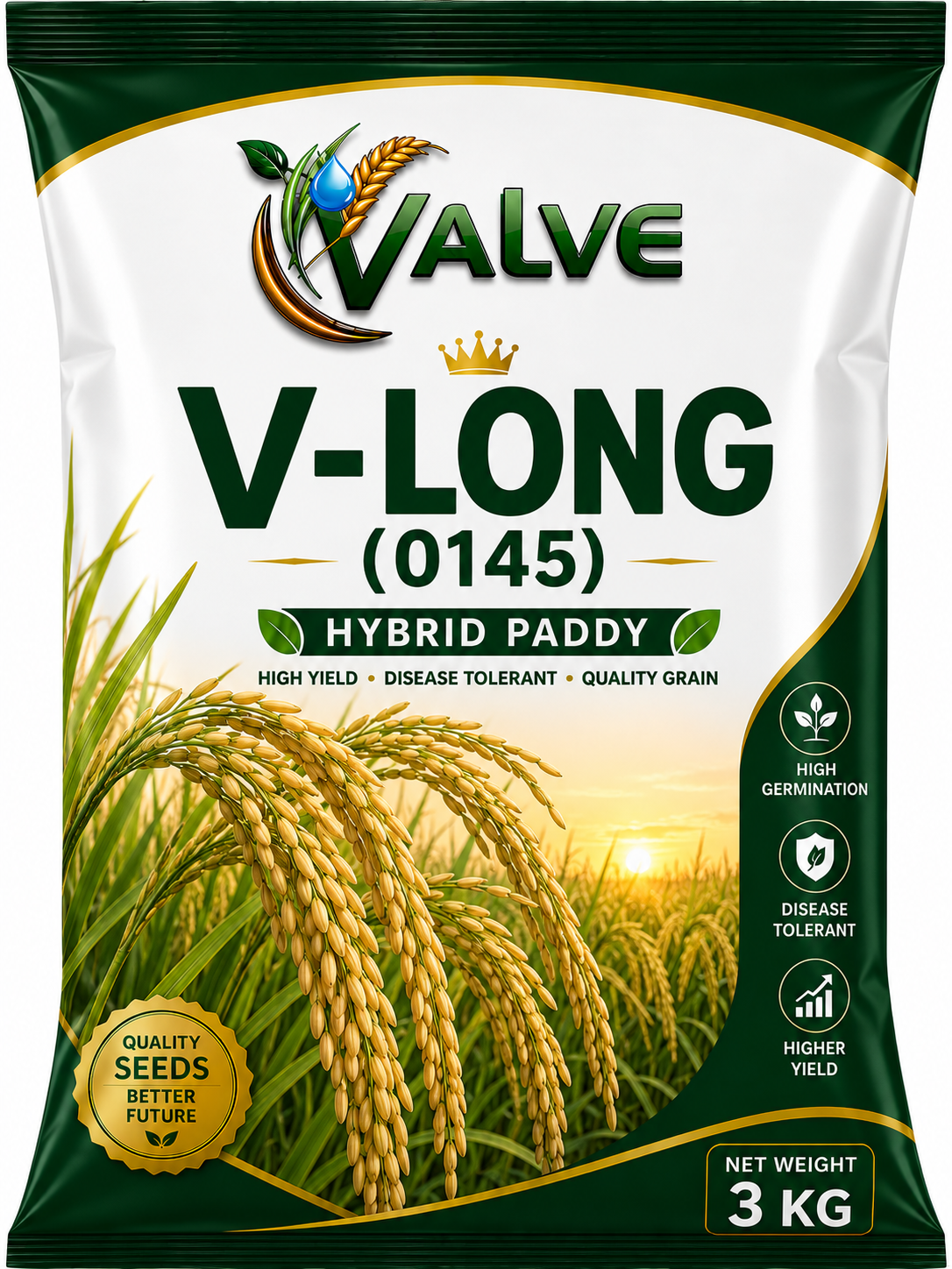 Hybrid Paddy V-Long