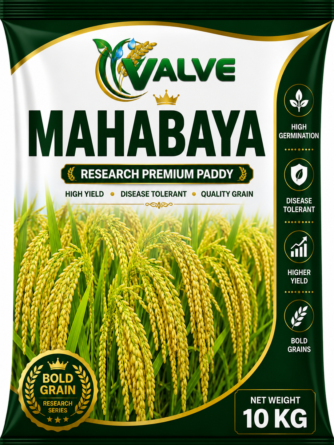 Research Paddy V-MAHABAYA