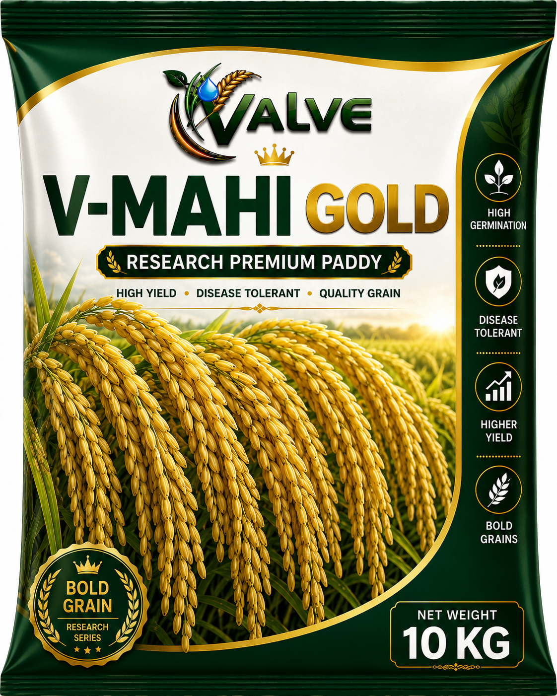 RESEARCH PADDY SEED V-MAHI GOLD