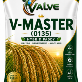 HYBRID PADDY SEED V-MASTAR