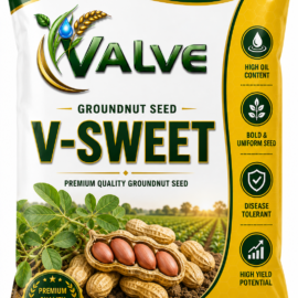 GROUNDNUT SEEDS V-SWEET